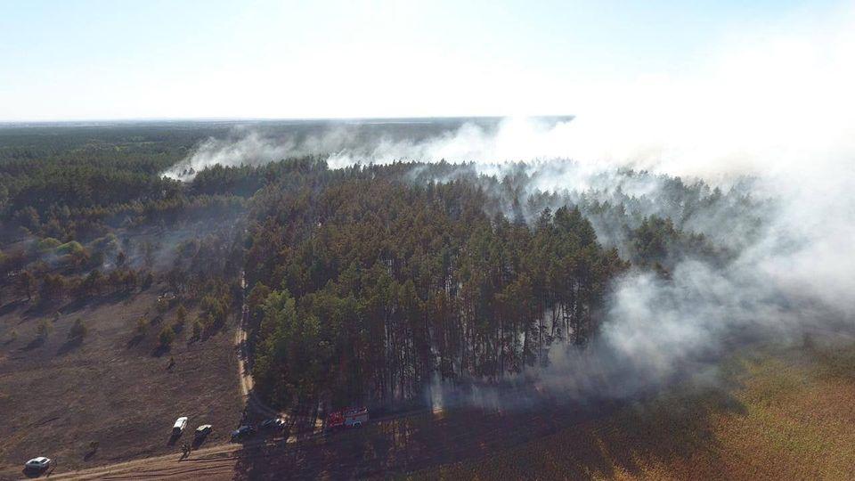 У деяких районах столиці може погіршитись повітря через пожежу у лісі – що робити у разі задимлення