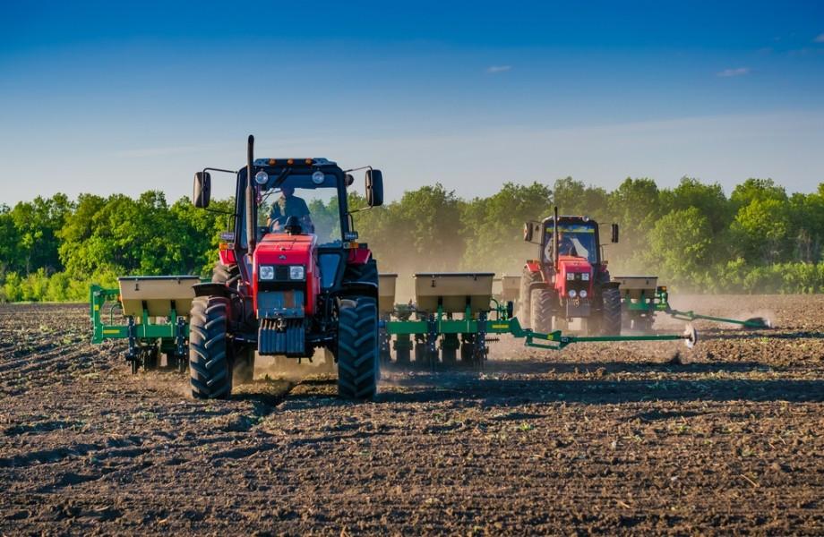 Посівна кампанія на Київщині завершилася: які результати