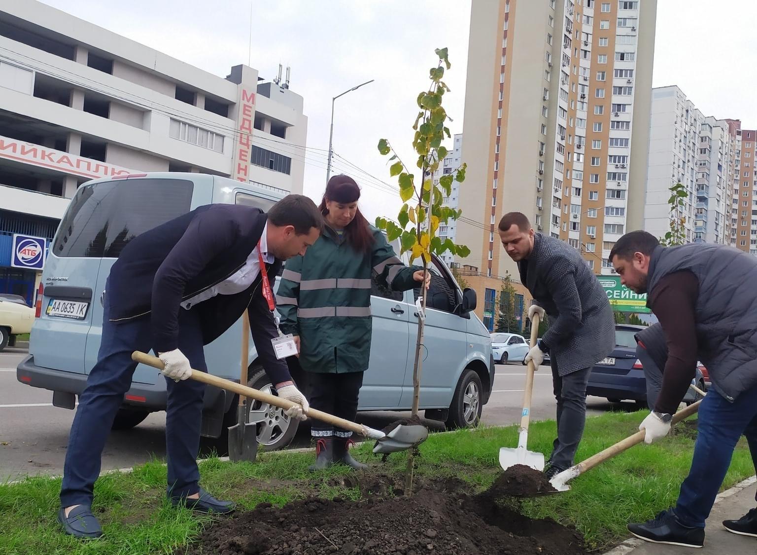 На Драгоманова побільшало європейських лип (ФОТО)