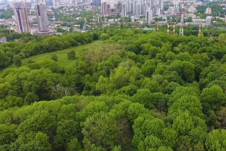 Чому на Лисій Горі не можна будувати військове кладовище та що необхідно знати тим, хто ніколи не був на цій горі