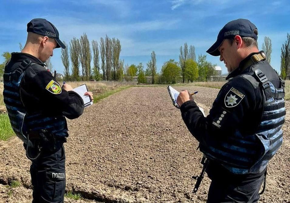 Мешканець Київщини ногою вбив сусідського собаку розміром з кішку