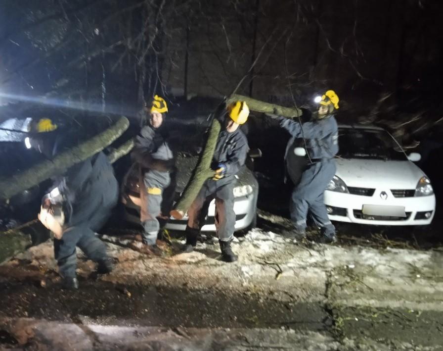 У Києві вночі падали дерева: на Солом’янці потрощили припарковані автівки