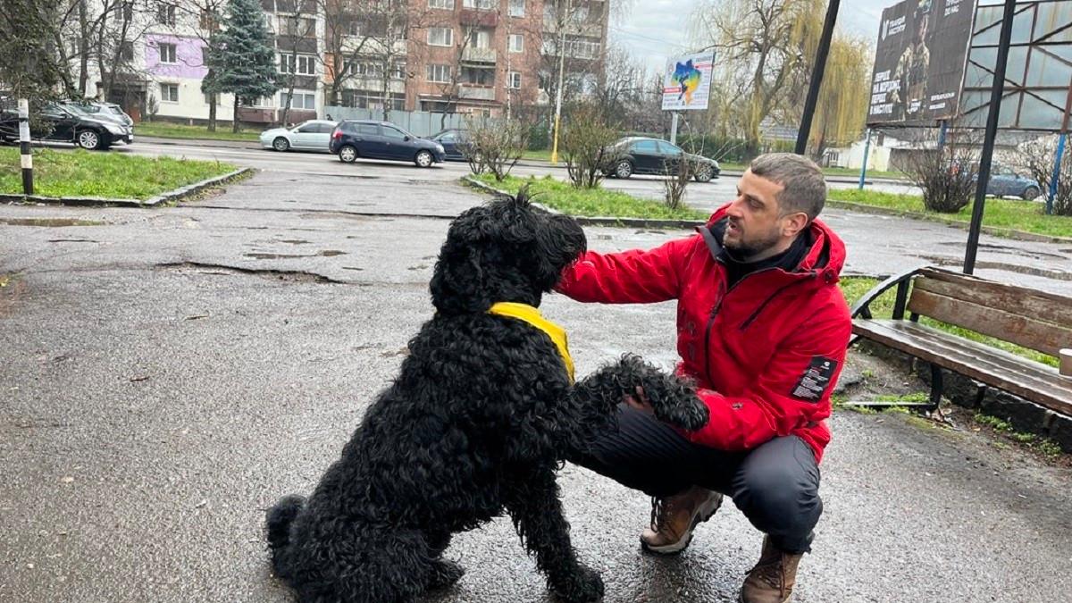 Ліквідував бізнес і став тревел-блогером – киянин змінив фах під час війни, заробляє на роликах з собакою та збирає донати на ЗСУ