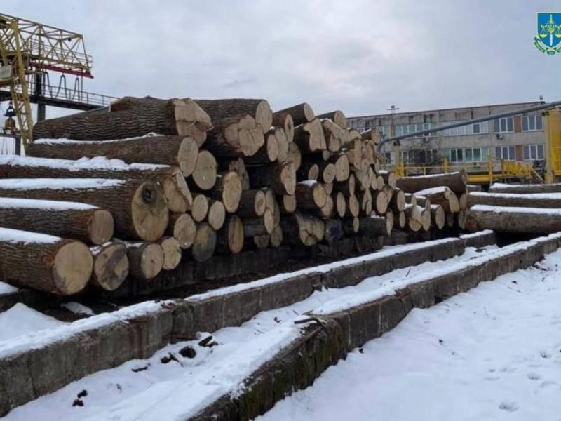 Два місяці рейдів на території Зони відчуження: що відомо про результат перевірок