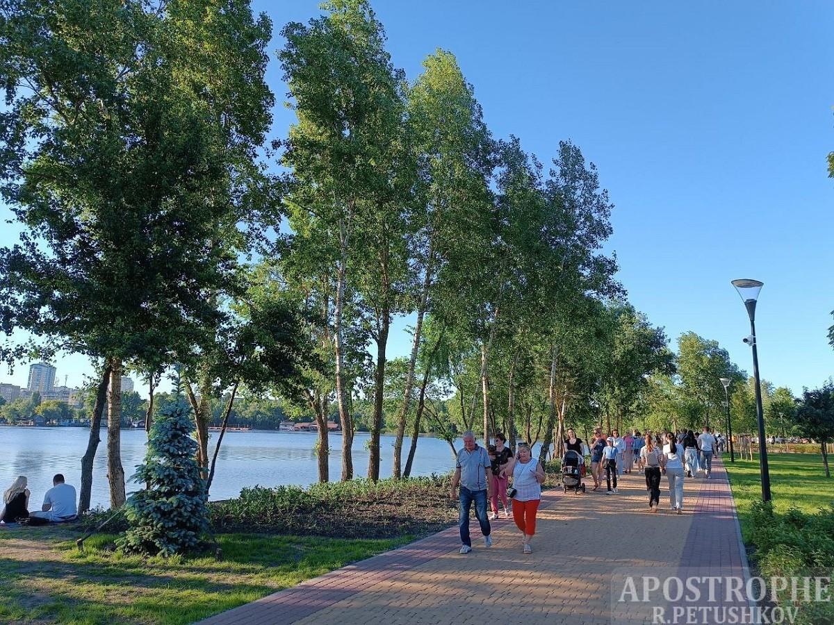 Вирубкою 200 дерев під час будівництва мосту-хвилі зацікавилась прокуратура