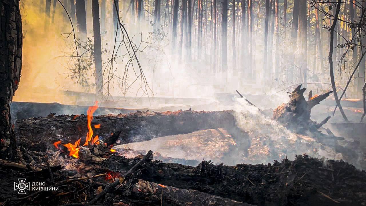 У Чорнобильській зоні четвертий день гасять масштабну лісову пожежу: що відомо