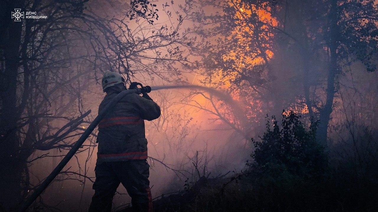 Площа лісової пожежі в Зоні відчуження зросла до 550 гектарів – що з радіацією