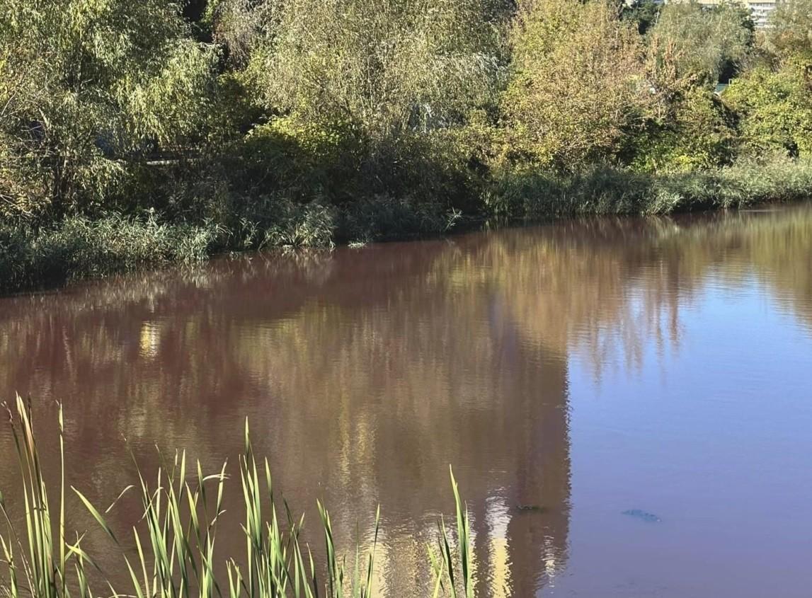 Стало відомо, чому почервоніла вода у Совських ставках